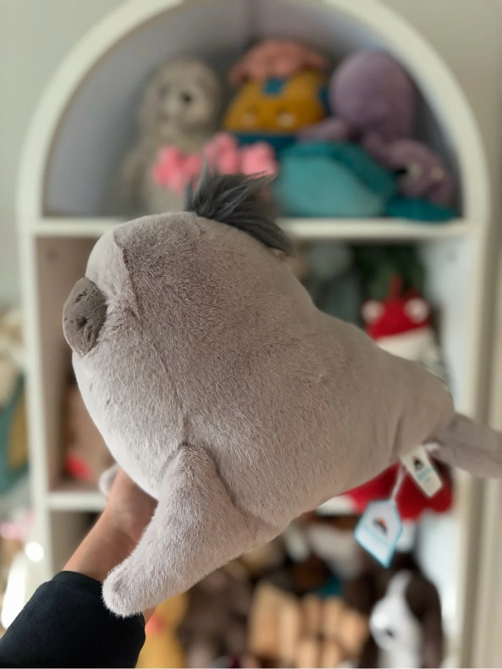 Jellycat Roarwell Sea Lion - Authentic & BNWT